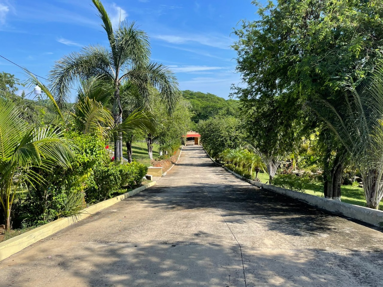 Quinta Tania